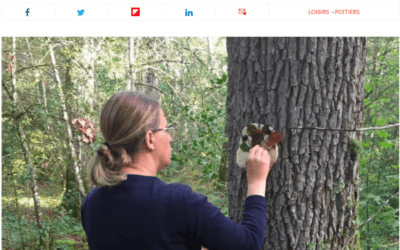 Marie-Laure, journaliste à la Nouvelle République, a testé la sylvothérapie avec Jardin Passion Nature ! Elle vous raconte son expérience…