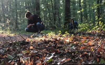 « En immersion dans la forêt »