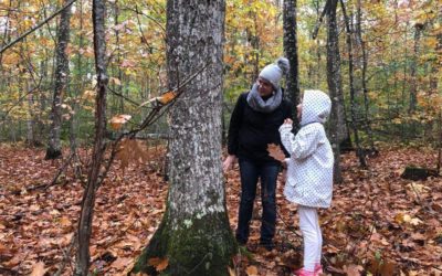 Bain de forêt « Adulte/Enfant » raconté par #kidiklik86