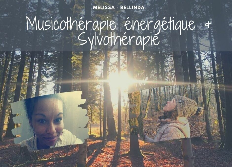 Au fil de l&rsquo;eau… [Sylvothérapie et musicothérapie énergétique]