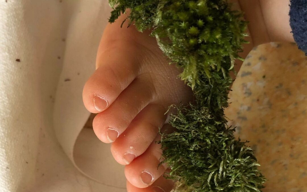 Relais Petite Enfance « Chat Perché » – Il n’est jamais trop tôt pour apprendre à aimer la nature…