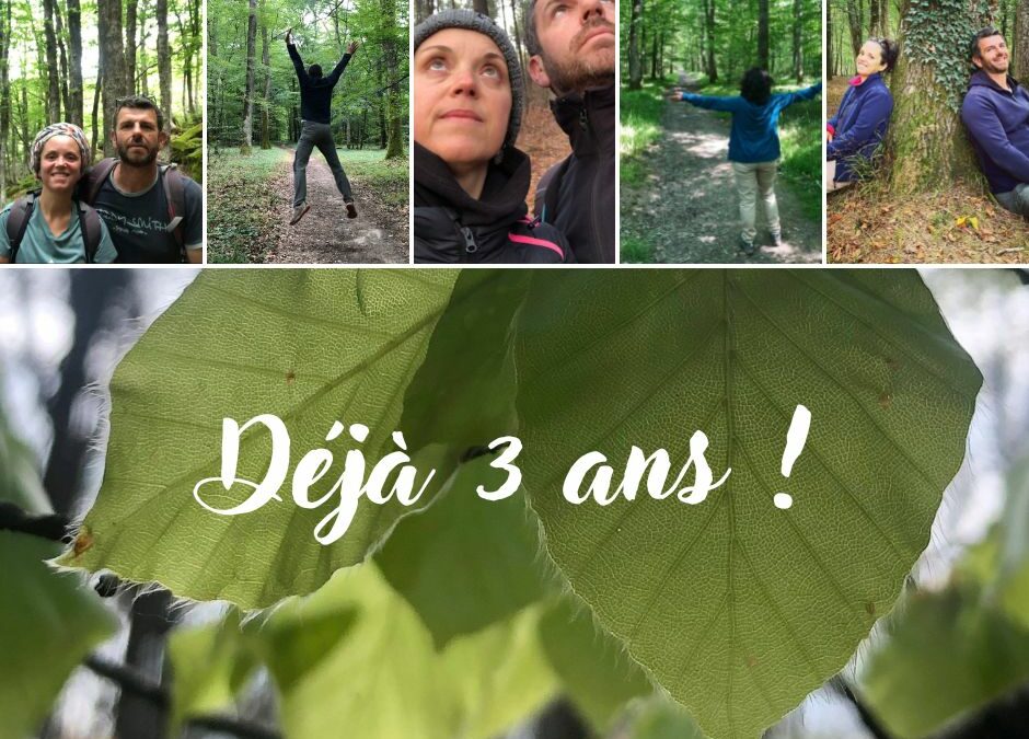 Déjà 3 ans que Jardin Passion Nature est née !!!