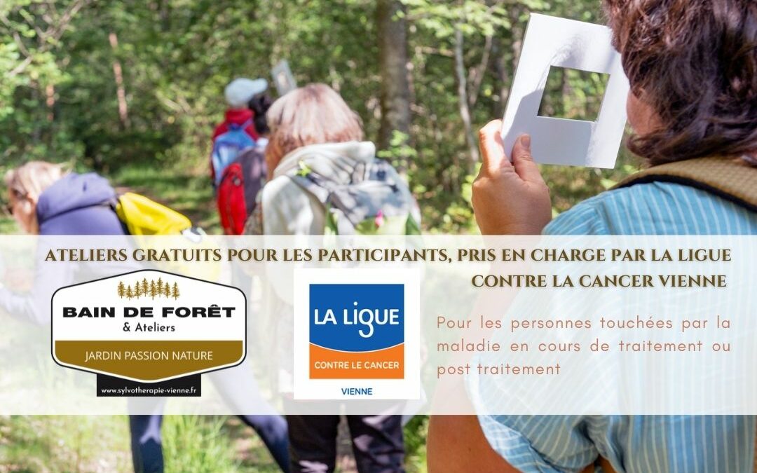 Les cycles de Sylvothérapie à La Ligue contre le cancer en 2023
