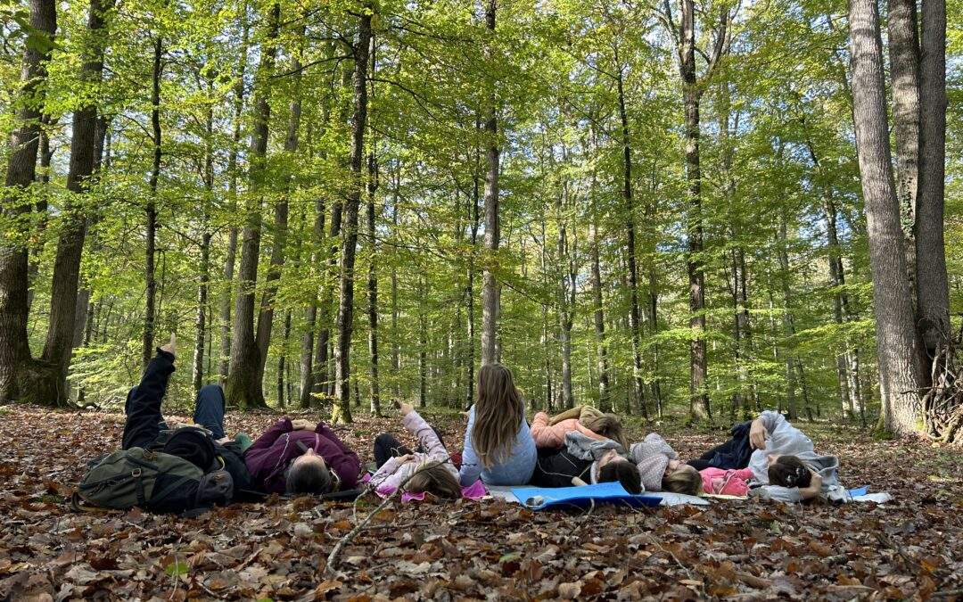 Bain de forêt privé