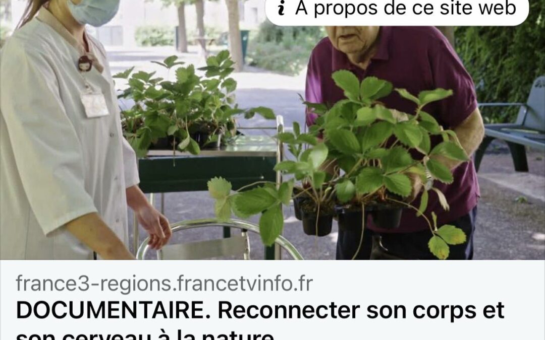 Documentaire