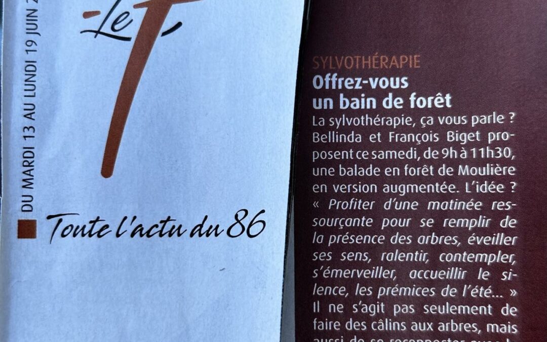 Merci Le 7 !