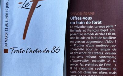 Merci Le 7 !