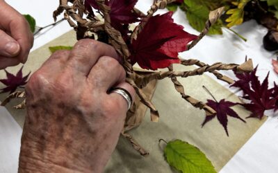 Article Le7.info « Ateliers SENSibles »
