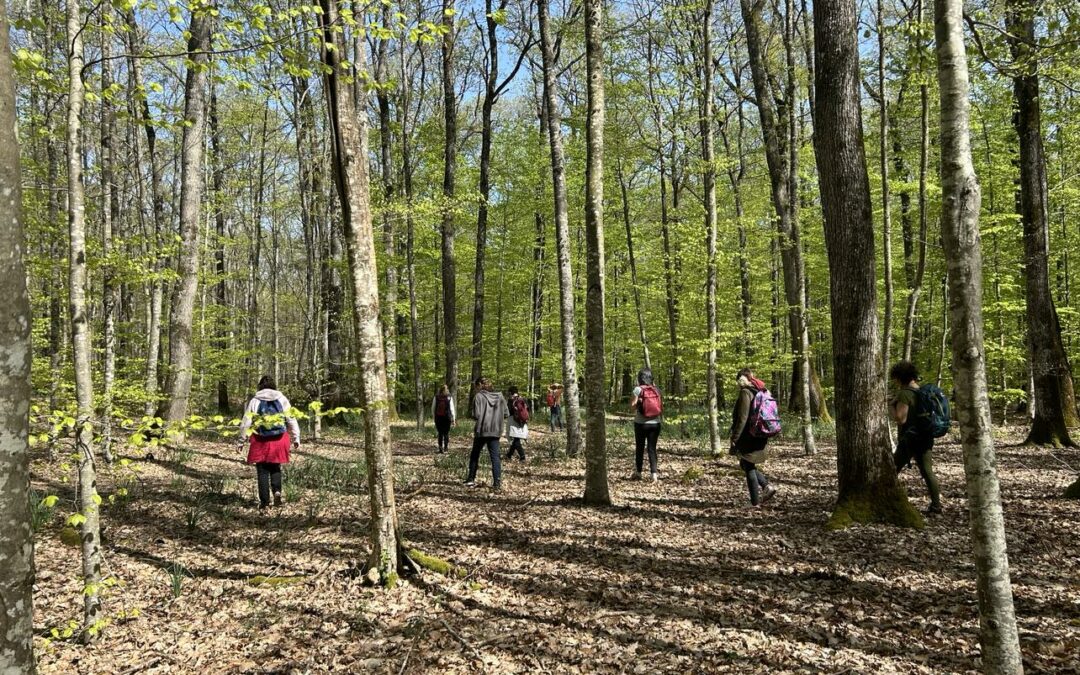 « Le Bain de forêt c‘est… »