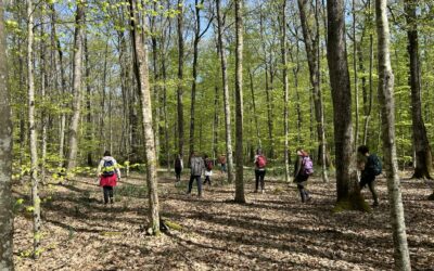 « Le Bain de forêt c‘est… »