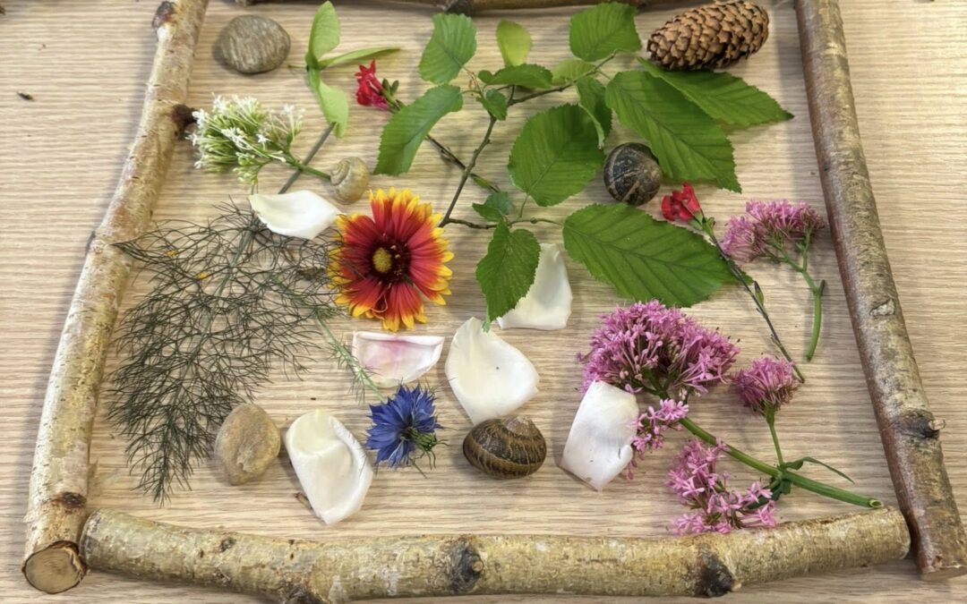« Atelier SENS.ible » en EHPAD
