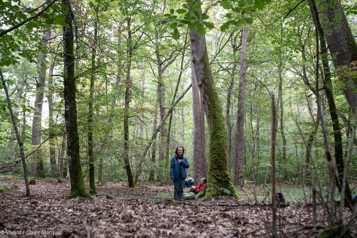 Bain de Forêt avec Jardin Passion Nature