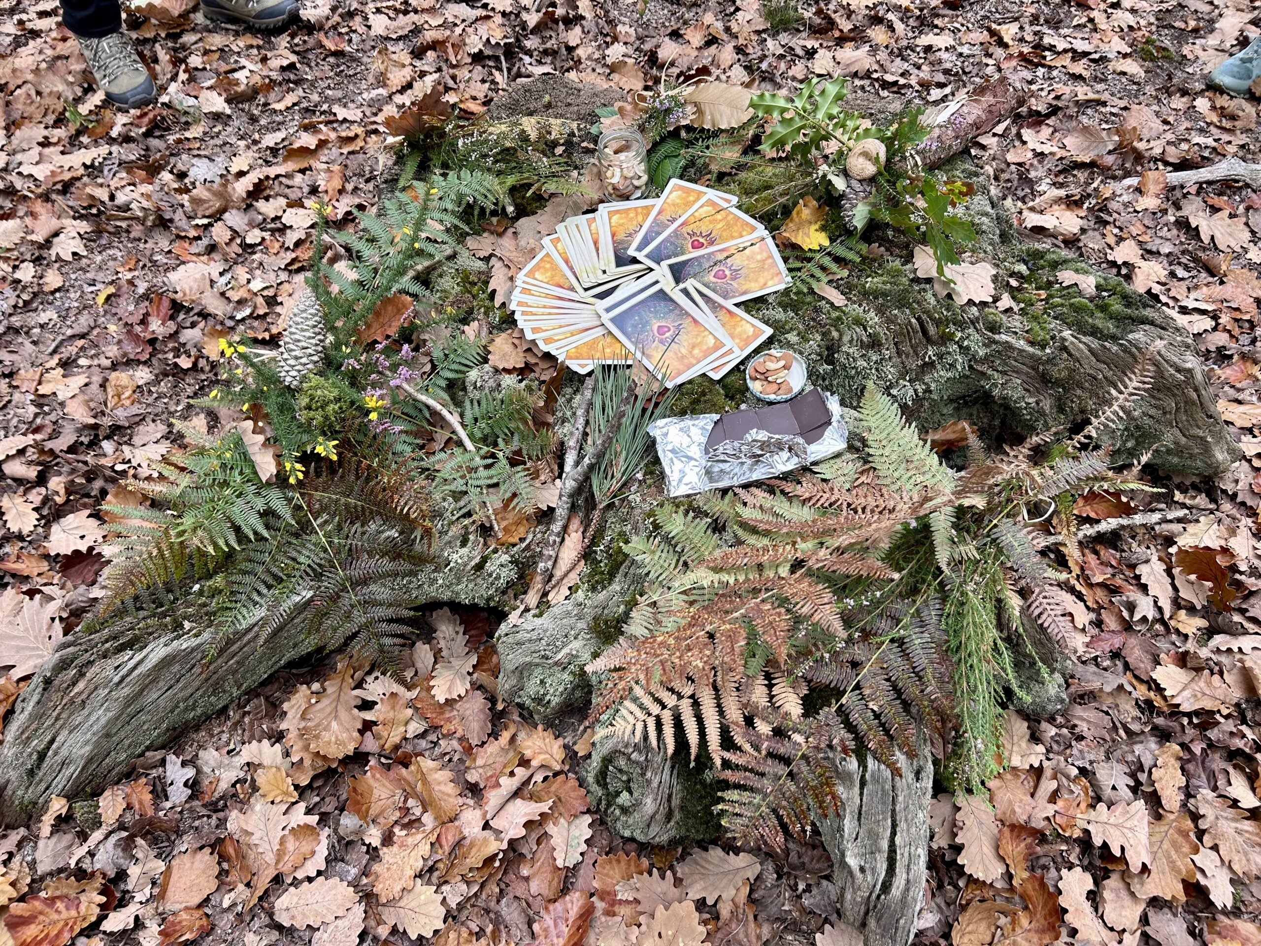 cancer et bain de forêt